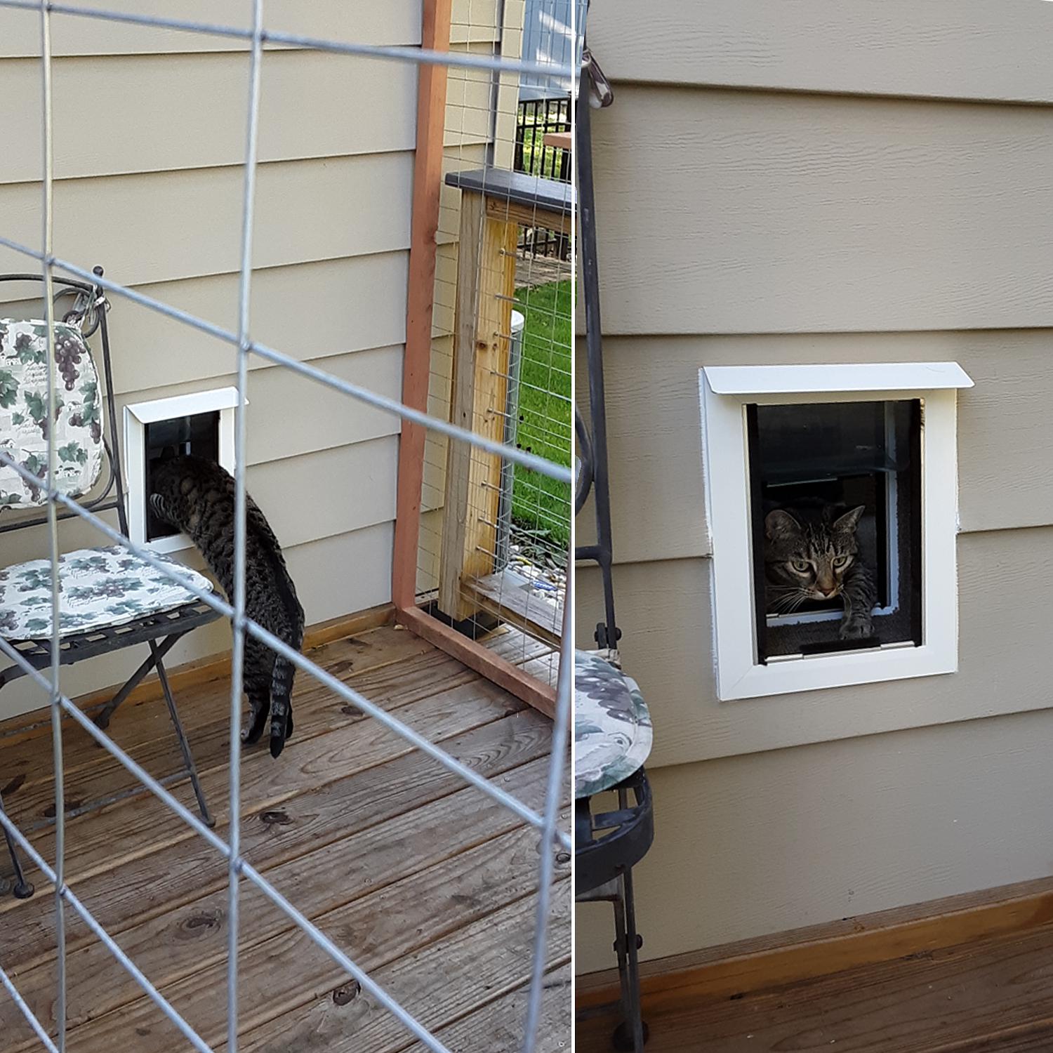 Exterior cat door outlet