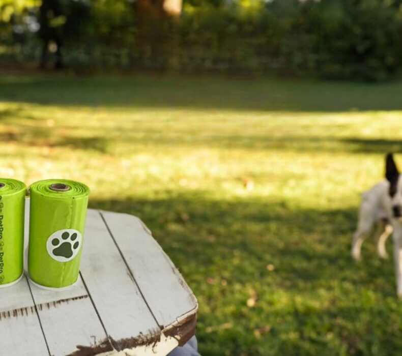 The Poop Bag Dilemma: Navigating Environmental Responsibility with Our New Biodegradable Bags