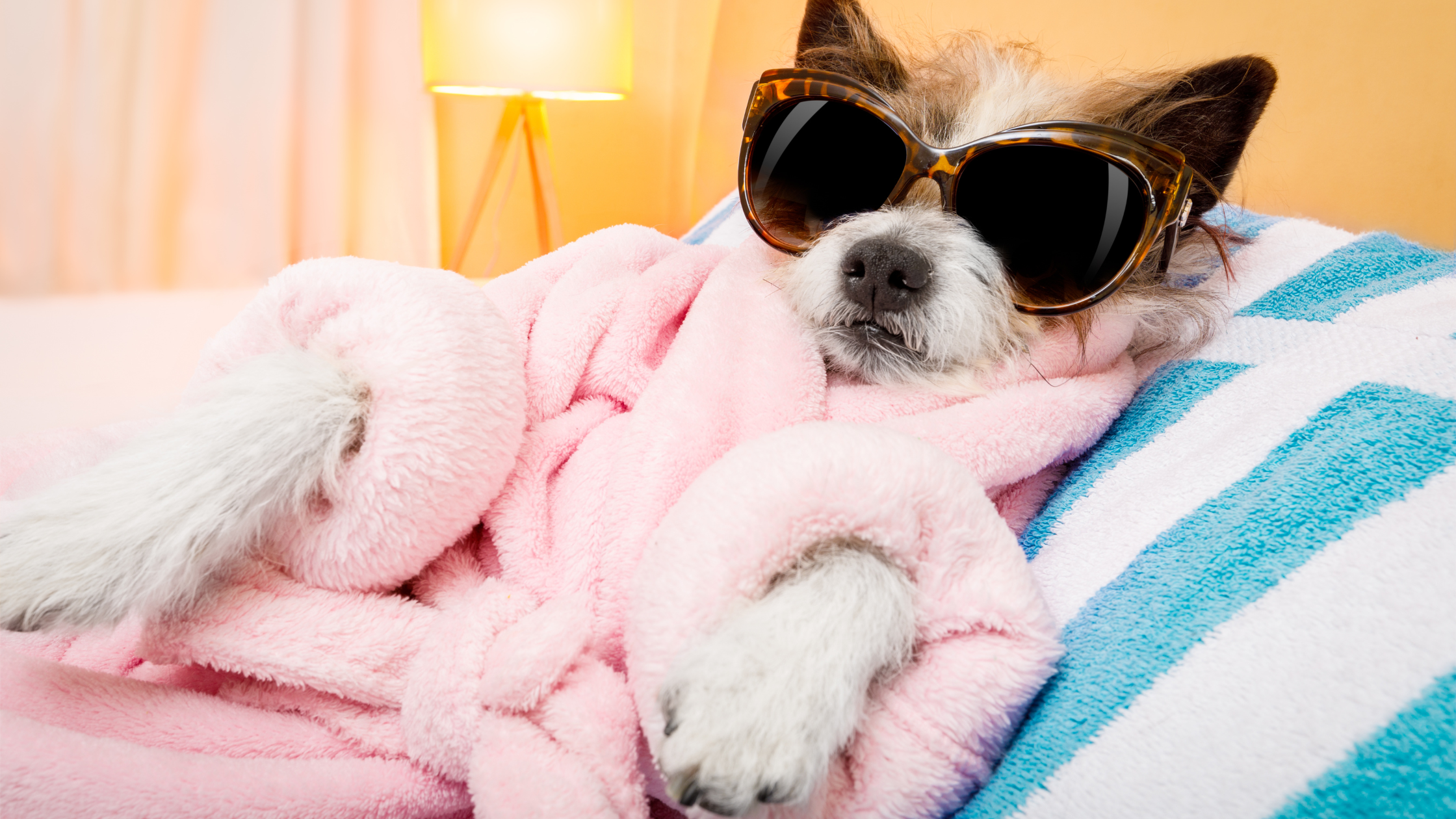 Climate Change: Impact on Animal Health