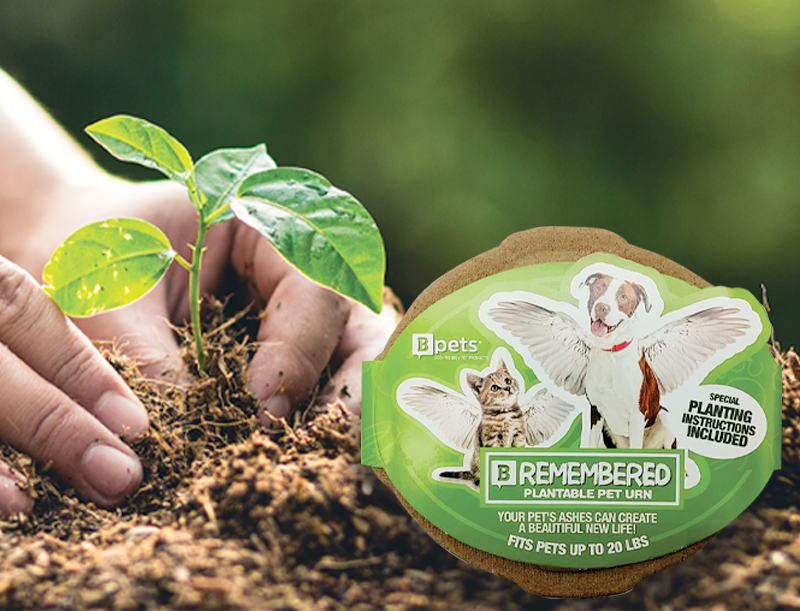 SAYING GOODBYE WITH A B-REMEMBERED PLANTABLE PET URN