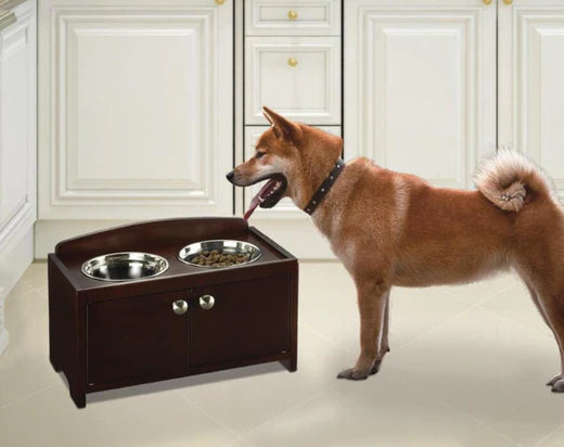 The science behind feeding methods (bowls, scoops, fountains and more)